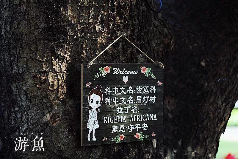 解锁绿色密码 逐梦碧海蓝天 ——中海沥青储运部技术创新助力公司绿色跨越发展