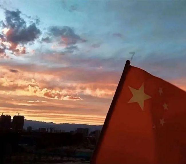 一张图让你戒猫357