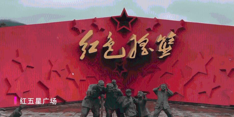 大鹰森林逃生