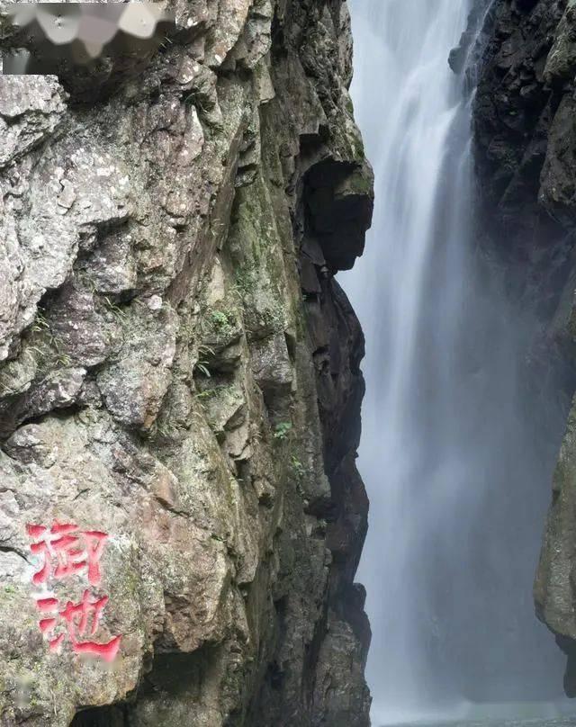 冬日这碗粥,暖身补气血,老少都要多吃,错过太遗憾