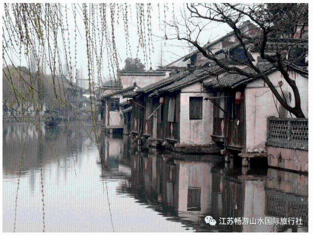 动物帮帮忙保卫家园